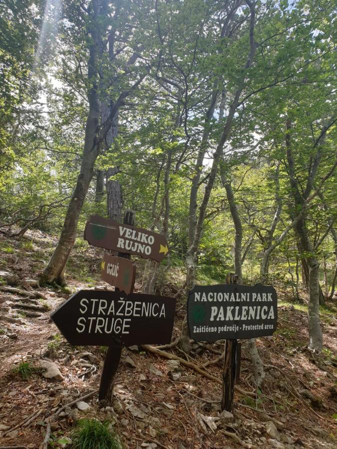 Vito Apartman Stari Grad Kültér fotó
