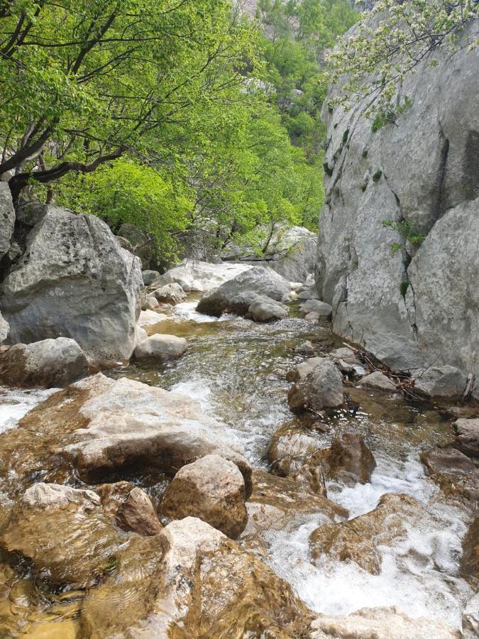 Vito Apartman Stari Grad Kültér fotó